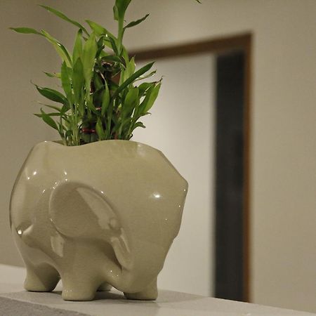 Twin Lotus Samui Hotell Bophut Eksteriør bilde